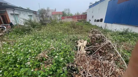 Bán đất 107m2, 800 triệu tại xã quang trung, an lão, hải phòng, giá ưu đãi, chính chủ
