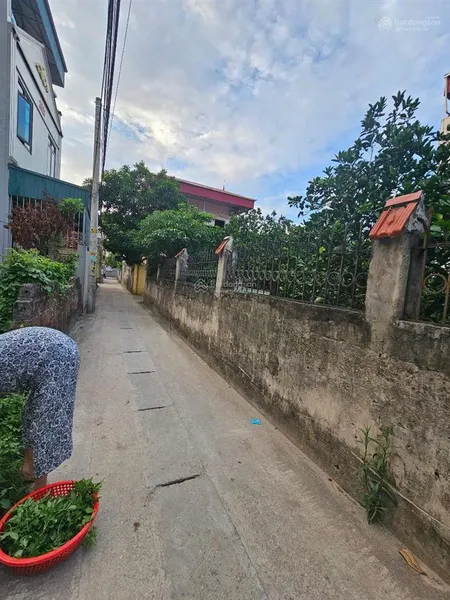 Bán đất tại xã khánh hà, thường tín, hà nội, giá ưu đãi 3,75 tỷ, 59,5 m2