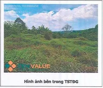 Bán đgts đất tại tđ số 557, xã lộc an, huyện bảo lâm (nay là xã bảo lâm 2), tỉnh lâm đồng