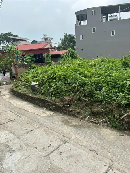 Bán đất tại xã đại áng, thanh trì, hà nội, 4,3 tỷ, 46,8 m2, giá ưu đãi
