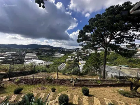 Lô đất 20x50m size biệt thự 1000m2 p4 đà lạt. đất đẹp view cảnh đẹp giá đẹp khí hậu mát mẻ