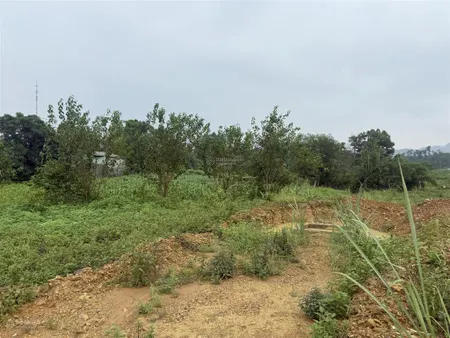 Chính chủ cần chuyển nhượng 1000m2 bám mặt đường đông dương rộng 34m tại xã lương sơn phú thọ mới