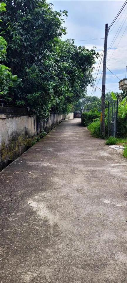 1 tỷ560 45.5m ô tô vào đất chương dương thường tín đường trước đất 5m,50m ra trục chính, cao tốc.