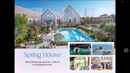 Tư vấn rổ hàng springville, vị trí đẹp ck tốt
