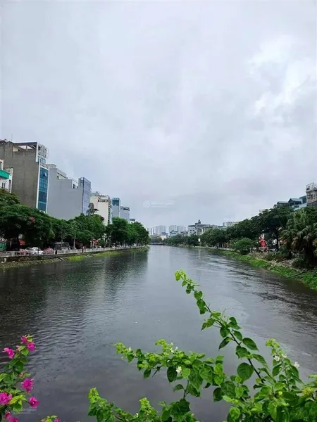 Bán nhà mặt phố nguyễn khang, mặt tiền 5,5m, dt 90m2, siêu rẻ 48 tỷ