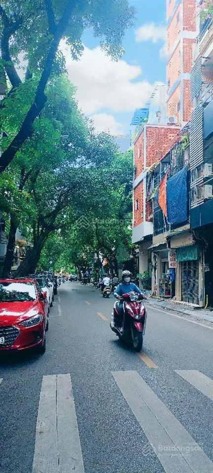 Vip!hiếm!bán nhà phố triệu việt vương, hai bà trưng, dt 175m2/mt 8m/11 tầng, ô tô 16m. giá 220 tỷ.