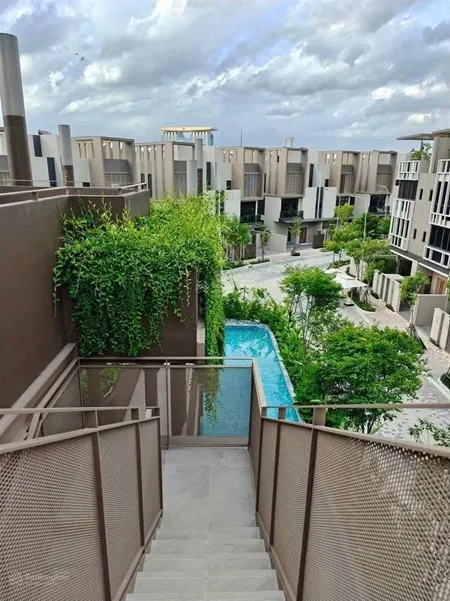 The orchard sycamore | nơi giới thượng lưu định hình cuộc sống
