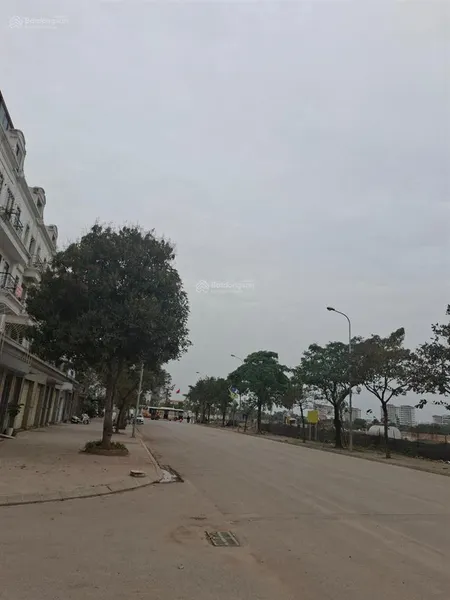 Đẳng cấp biệt thự hồ gia lâm trung tâm trâu quỳ mặt tiền 11m, giá 38 tỷ