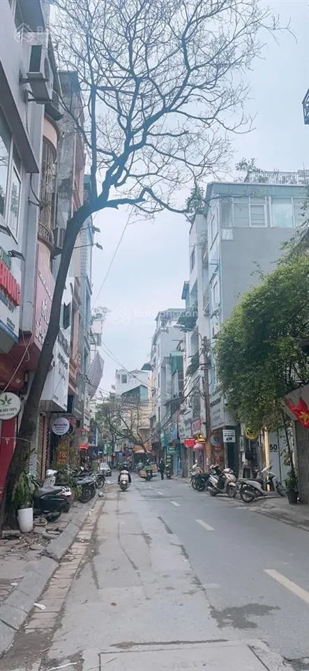 Nhà mặt phố mai dich dân xây 5 tầng 44.3mmt 3.7mkinh doanh sầm uất giá 21tỷ