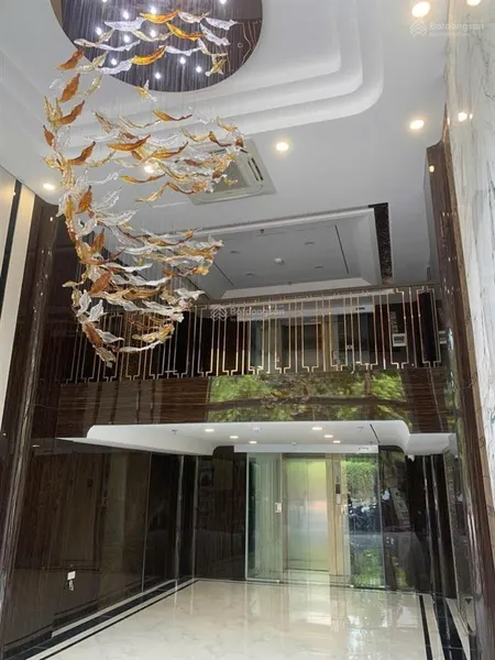 Siêu phẩm vương thừa vũ thanh xuân 50m2 x 7 tầng thang máy x 5m mặt tiền x 21 tỷ ô tô tránh.