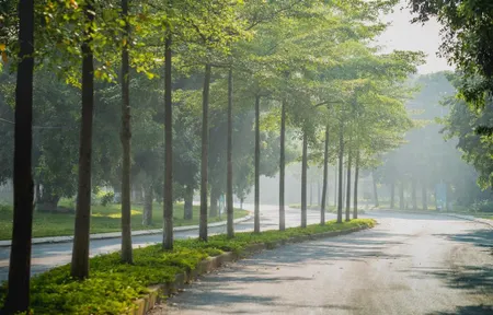 Cần bán biệt thự song lập vườn mai kđt ecopark hưng yên dt 162m2 nhà hoàn thiện 0913 969 ***