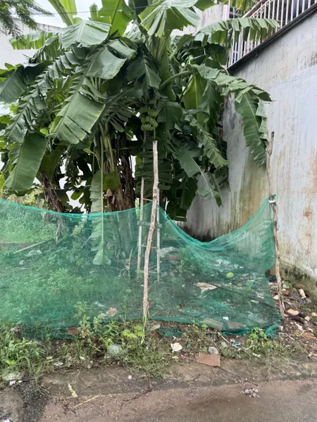 Bán 116m2 5x23 4,1 tỷ sổ hồng bao sổ đường 882 p phú hưu 0764994867