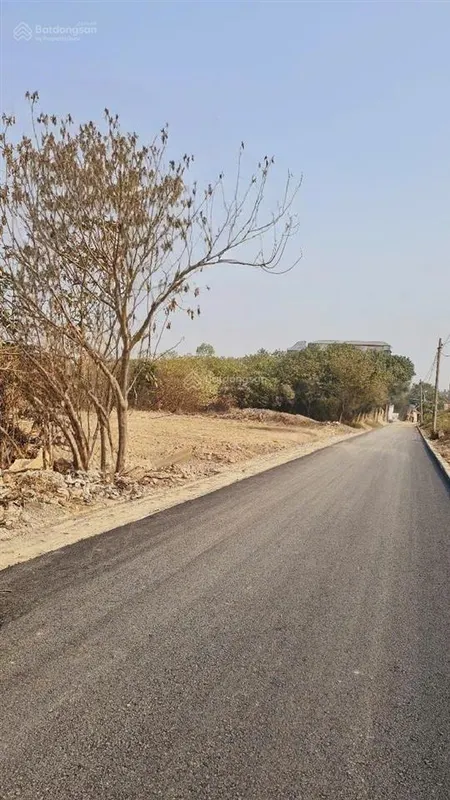 Bán 10.000m2 đất tại mặt đường nguyễn khoái giá đầu tư 12tr/m2