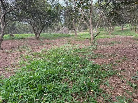 Bán đất nền đẹp tại xã tề lễ, tam nông, phú thọ, 1 triệu / m2, 1902 m2