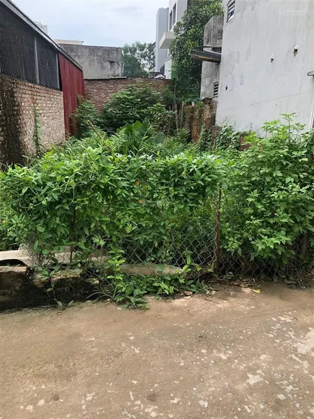 Bán đất vân canh hoài đức diện tích 45,6 m ngõ rộng , ô tô su cóc đỗ cửa, gần vành đai 3.5