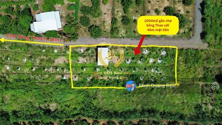 Bán vườn trái cây 1000m2 gần chợ sông thao, lúc sốt 1tỷ2, giờ chủ bán 790 triệu còn bớt