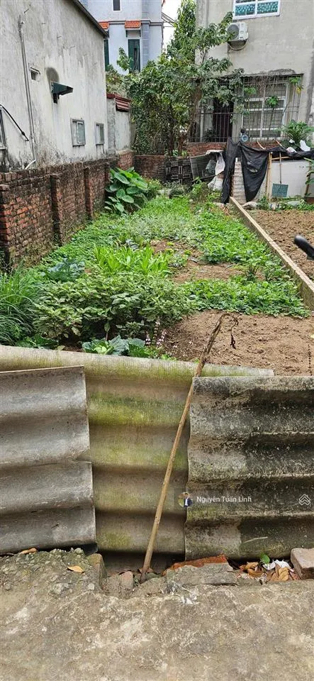 Đất đẹp 66m2 đại đồng, đại mạch huyndai i10 đỗ cửa vị trí đắc địa