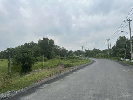 Bán đất 1,5ha mặt tiền đường hưng long quy đức