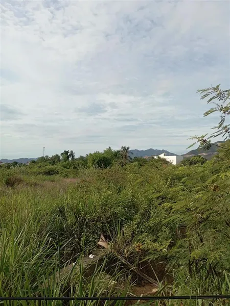 Bán 11,9ha đất rừng sản xuất tại thôn xuân ninh,xuân sơn, vạn ninh, hẻm nhỏ 3m, chỉ 167 tỷ