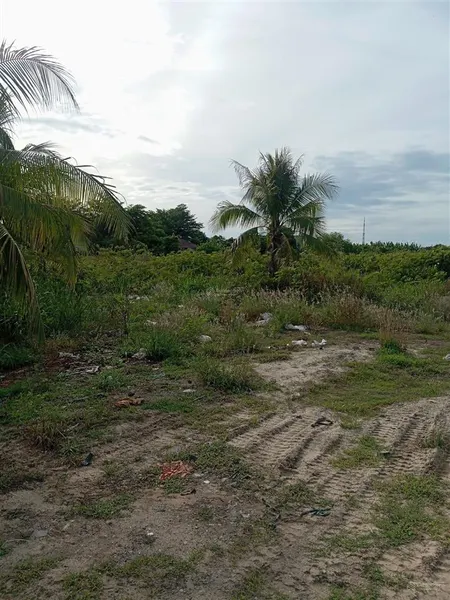 Bán rẫy tại xuân sơn, 117 tỷ, 86913 m2, pháp lý đầy đủ, uy tín
