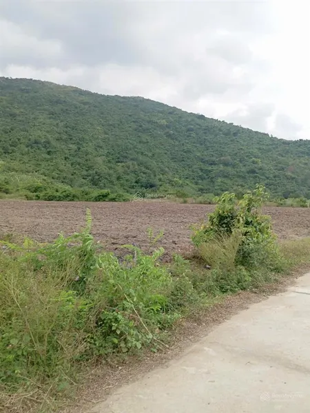 Bán 13ha đất rừng tại thôn xuân ninh,xuân sơn, vạn ninh, giá tốt 196 tỷ.