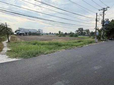 Bán đất 2 mt tại đường bờ bao xóm hố, tân kiên, bình chánh, 42 tỷ, 3641m2 hai mặt tiền đắc địa