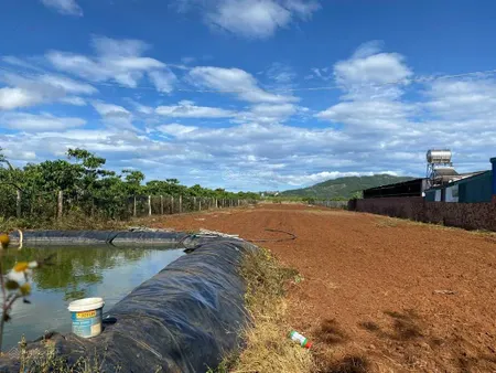 Bán 4,5 tỷ cho 2.890m2 đất bình thạnh đức trọng, cách ql 27 chỉ 400m, đường bê tông