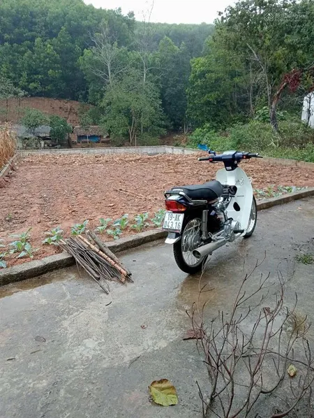 Đất sơn thủy cách trung tâm nghỉ dưỡng khoáng nóng thanh thủy hơn 1km, view núi, đồi thông thoáng