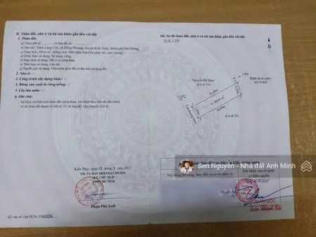 Đấu giá lạng côn đông phương kiến thụy