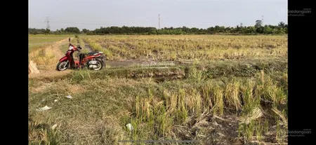 Ngộp bán rẻ lô đất chính chủ 2.000m2 thuộc tân nhựt, bình chánh giá 1,35tr/m2