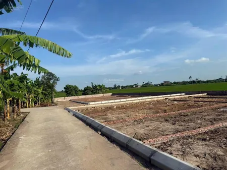 Bán đất 80m2, 650 triệu, đường 304, quang hưng, an lão, hải phòng hot!
