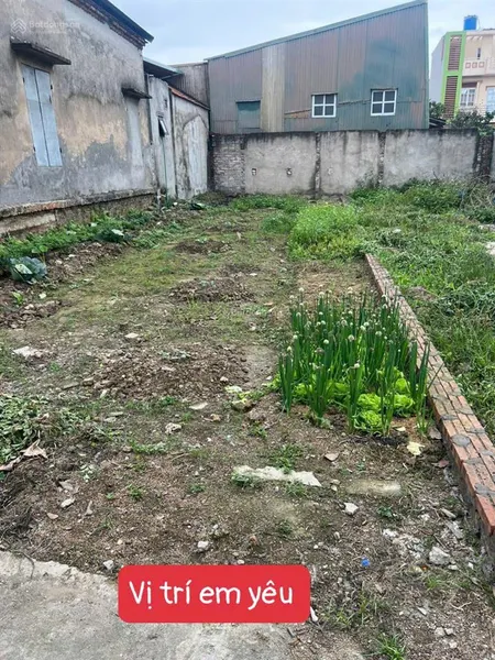 Đất mỹ hào 100m2 giá đầu tư cực tốt
