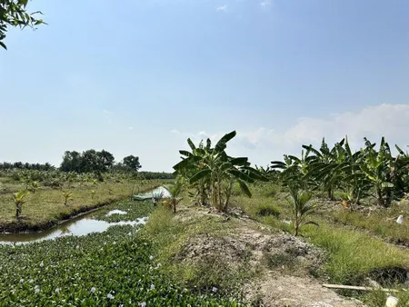 Bán đất đường kênh 9 (võ văn kiệt) lê minh xuân, bình chánh