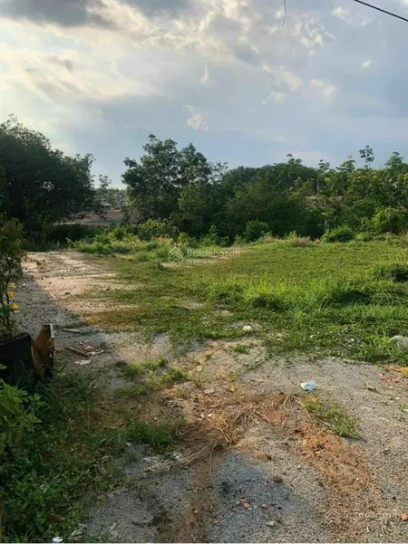 Bán đất đẹp tại đường dh513, xã vĩnh hòa, phú giáo, bình dương, 1,2 tỷ, 358.9m2