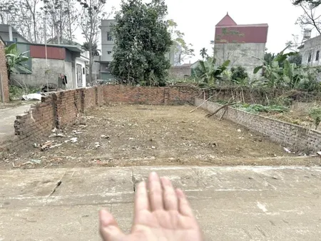 Hoa hậu chủ cần tiền ra hàng
