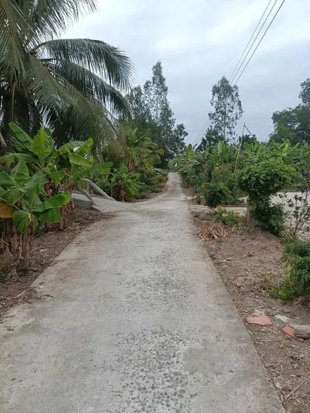 Bán đất kênh 14/9 xã Thạnh Tân 209.5m² ngang 5m giá 250 triệu Xã Tân Long