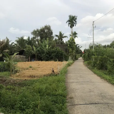 Bán đất 279.6m² ngang 19.5m giá 250 triệu Phường Ngã Năm