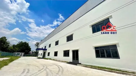 XT519 Nhà Xưởng cho thuê ổn định lâu dài, kết nối nhiều DN FDI, ngành nghề đa dạng