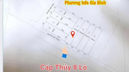 Đất sân bay Gia Bình (Bắc Ninh) - 950tr - Lương Tài