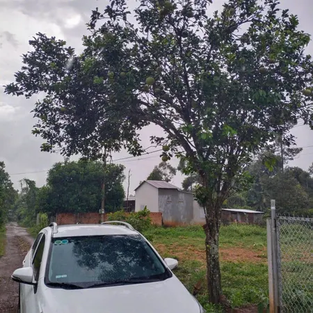 🔥 BÁN ĐẤT 6x52m – BUÔN JUNG, EA KTUR – GIÁ SIÊU RẺ 450TR 🔥