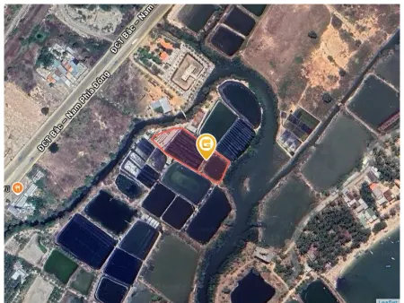 Bán đất 2642m² ngang 30m giá 7.8 tỷ Xã Vạn Hưng