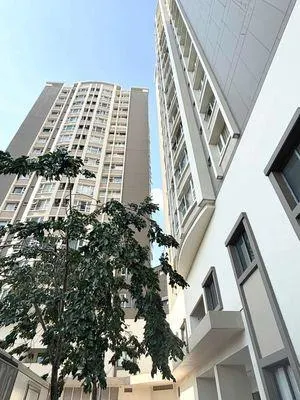 Cần bán, căn hộ 2pn, 1wc, 57m2 tại chung cư tân hòa đông, quận 6, 1,7tỷ ,0981 674 ***, ms, giang