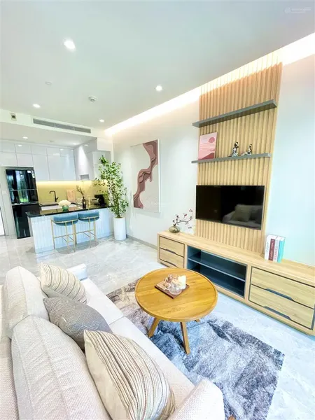 Căn hộ the infinity giá cđt giai đoạn 1, mua trực tiếp cđt 40 triệu/m2
