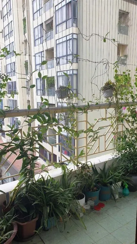 Bán gấp cc 2pn 2wc tại e3b vũ phạm hàm, 7,68 tỷ, 94 m2 giá ưu đãi