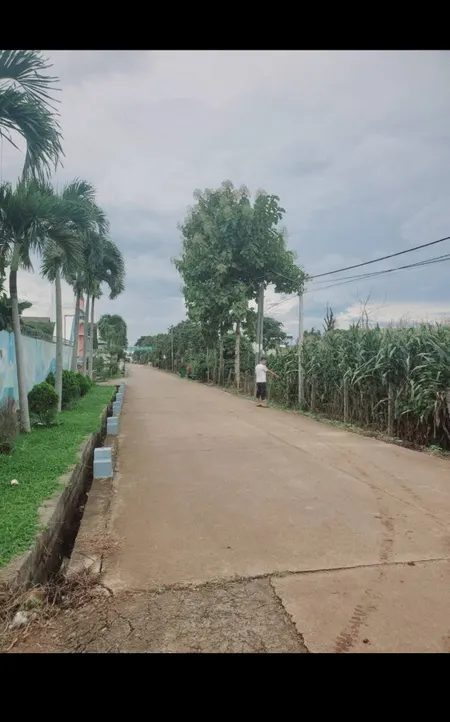 Bán đất 1596m² giá 1.5 tỷ Xã Cư Jút