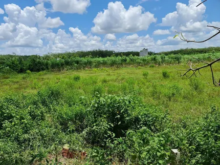 CHÍNH CHỦ Cần Bán Nhanh Lô Đất Vị Trí Đẹp Tại Xã An Cơ, Huyện Châu Thành, Tỉnh Tây Ninh