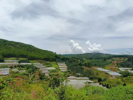 Bán đất Măng Lin, Phường 7, Đà Lạt View Đồi Thông, Thung Lủng Thơ Mộng Giá tốt nhất hiện tại.