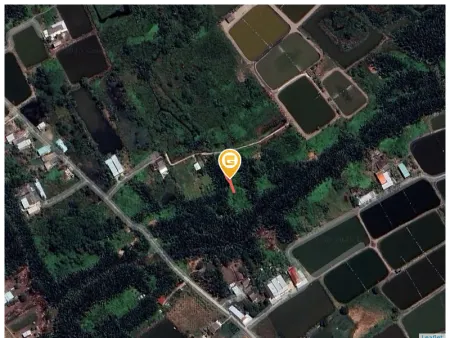 Bán đất 96m² giá 320 triệu Xã Cần Giuộc