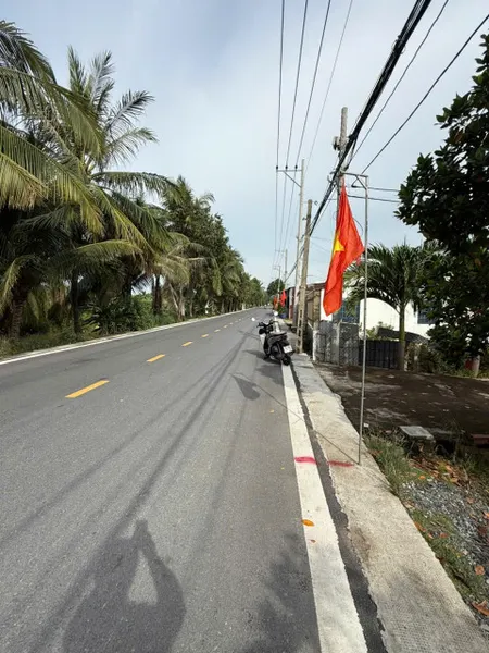 Bán 217m2 thổ vườn, mặt tiền Thích Thiện Hòa, Bình Chánh, giá đầu tư