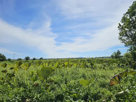 Bán đất view ruộng lúa thành phố hội an. lô đất view đầm sen thông ra cánh đồng ruộng lúa tuyệt đẹp